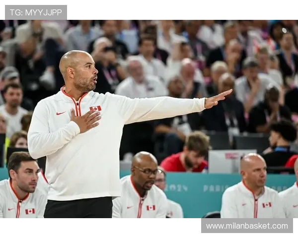 米兰体育网址官方地址最新查询及访问指南