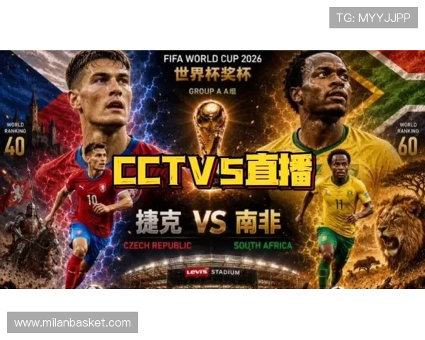 捷克南非世界杯比赛伤停情况全面盘点影响球队战术安排